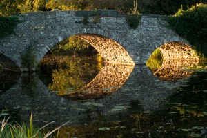 Image by Yeshen Venema