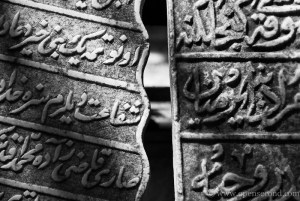 Image by Yeshen Venema