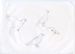 workingoutdrawings002