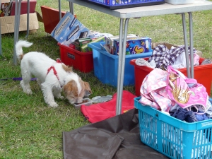 Carboot 1