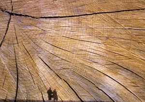 Couple shadow series, 3a small