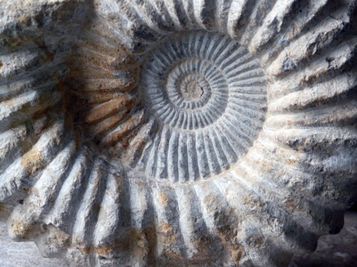 nothing beats the spiral 