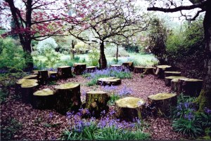 Aknar Circle in Roughwood