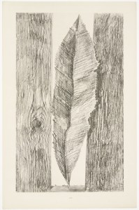 The habit of leaves, Max Ernst.