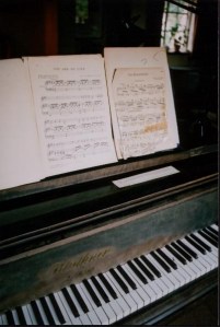 My Pictures 410 - Copy