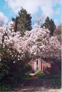 My Pictures 438 - Copy