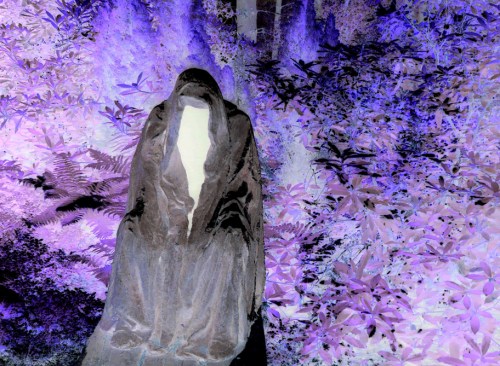 P1060110 inverse lowres