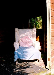 Copy Chair in Spider Hut 2 smaller