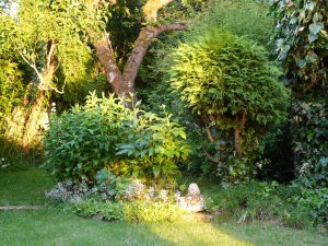 Late sun rays in my garden.