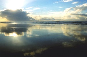 Mirrored clouds, without birds, smaller