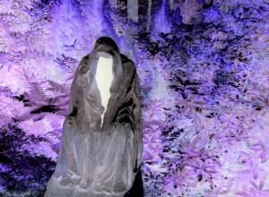 P1060110 inverse lowres